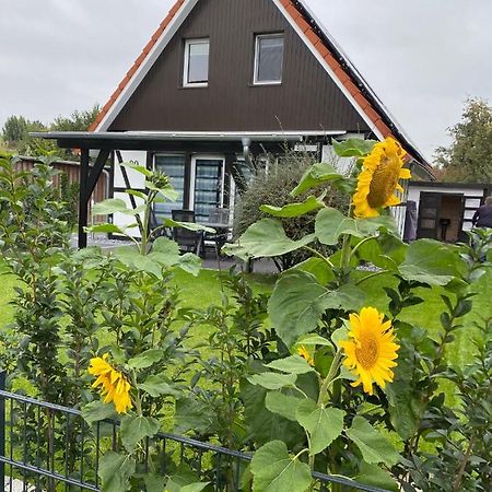 Ferienhaus Kiebitz 多鲁姆纽菲尔德 外观 照片