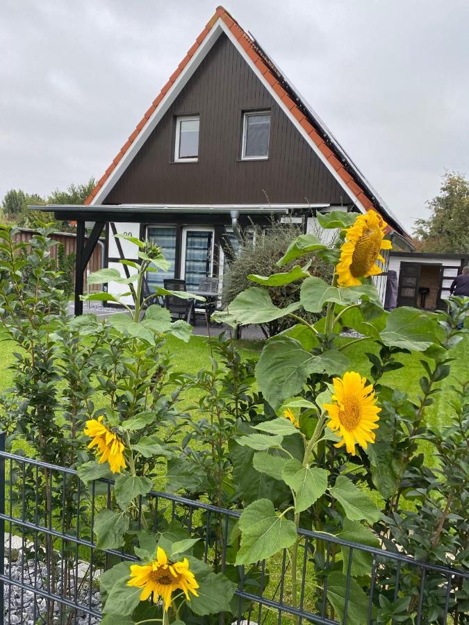 Ferienhaus Kiebitz 多鲁姆纽菲尔德 外观 照片